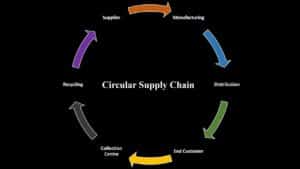 The Role of SAP SCM in Circular Supply Chains The Role of SAP SCM in Circular Supply Chains