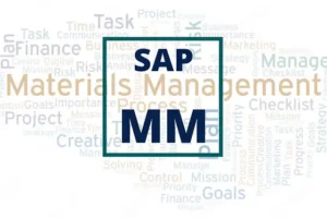 SAP MM Modules: Key Functions Every Beginner Should Know SAP MM Modules: Key Functions Every Beginner Should Know